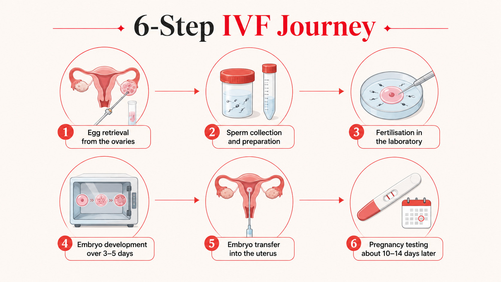 6 steps of IVF Journey in Turkey